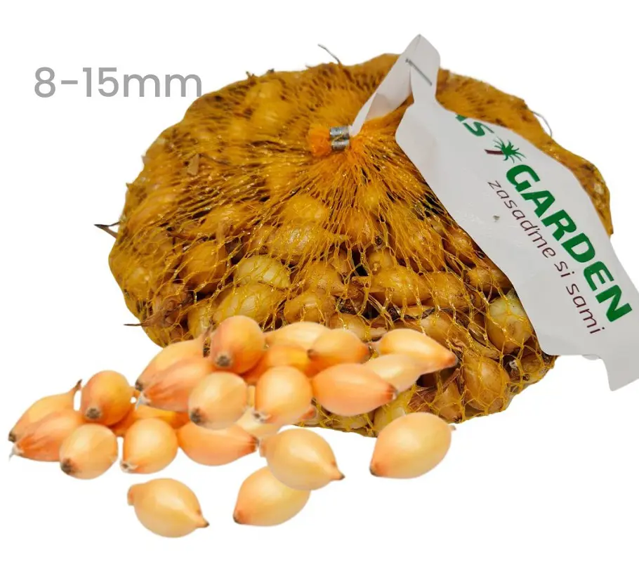.CIBULA SADZACKA 500g -CUPIDO